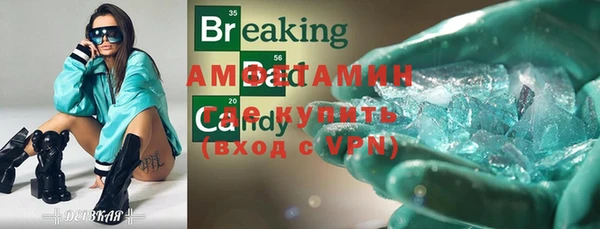 прущие грибы Наволоки