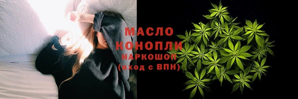 прущие грибы Наволоки