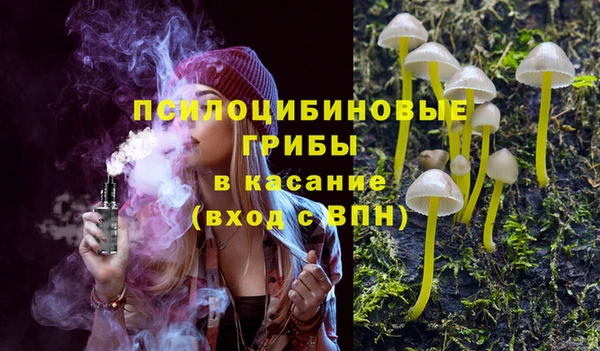 прущие грибы Наволоки