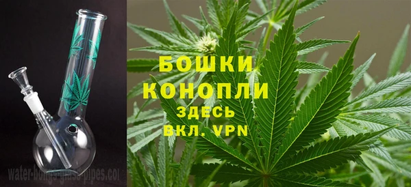 трава Надым