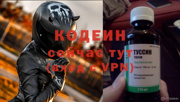 прущие грибы Наволоки