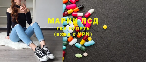 прущие грибы Наволоки