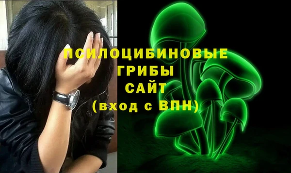 трава Надым