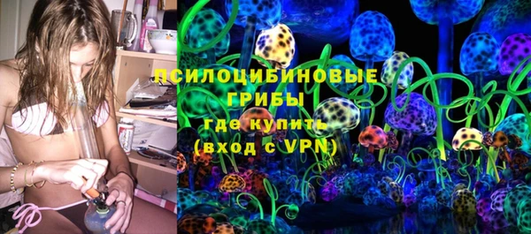 прущие грибы Наволоки