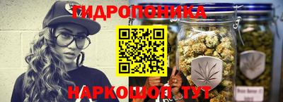 спайс Гатчина