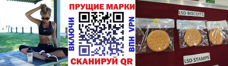 Марки N-bome 1,8мг  сайты даркнета клад  Димитровград  где продают  