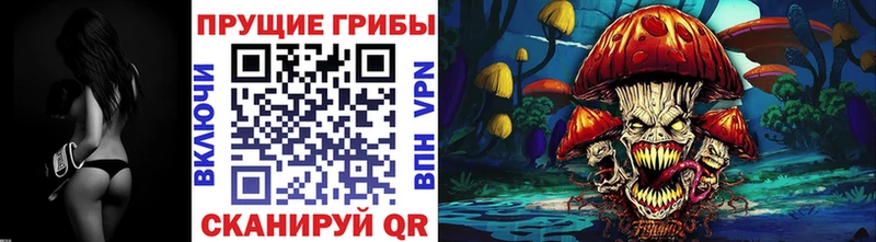 Галлюциногенные грибы Cubensis  даркнет сайт  Димитровград 