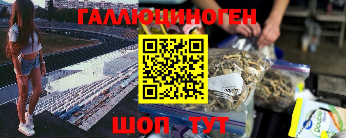 Псилоцибиновые грибы мухоморы Димитровград