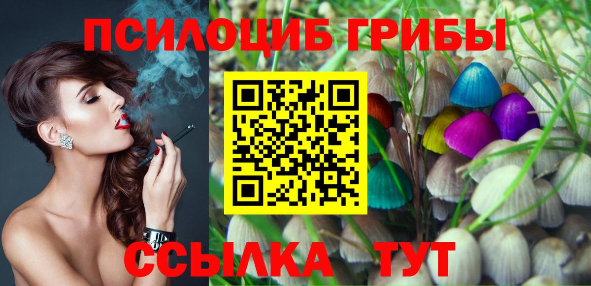 Димитровград  Галлюциногенные грибы прущие грибы  Вход с VPN 
