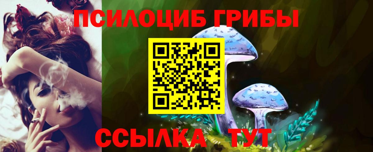 Псилоцибиновые грибы мухоморы Димитровград