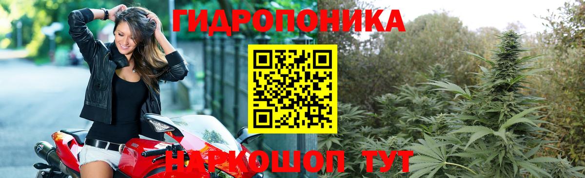 Бошки Шишки SATIVA & INDICA  Марихуана гибрид  Вход с VPN  Димитровград  Бошки марихуана планчик 